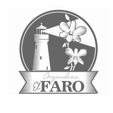 Presentación sin título (4)